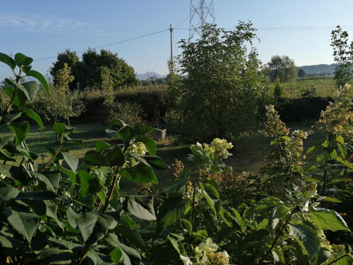Ca' Blanca Bed and Breakfast Castelnuovo del Garda Eksteriør billede