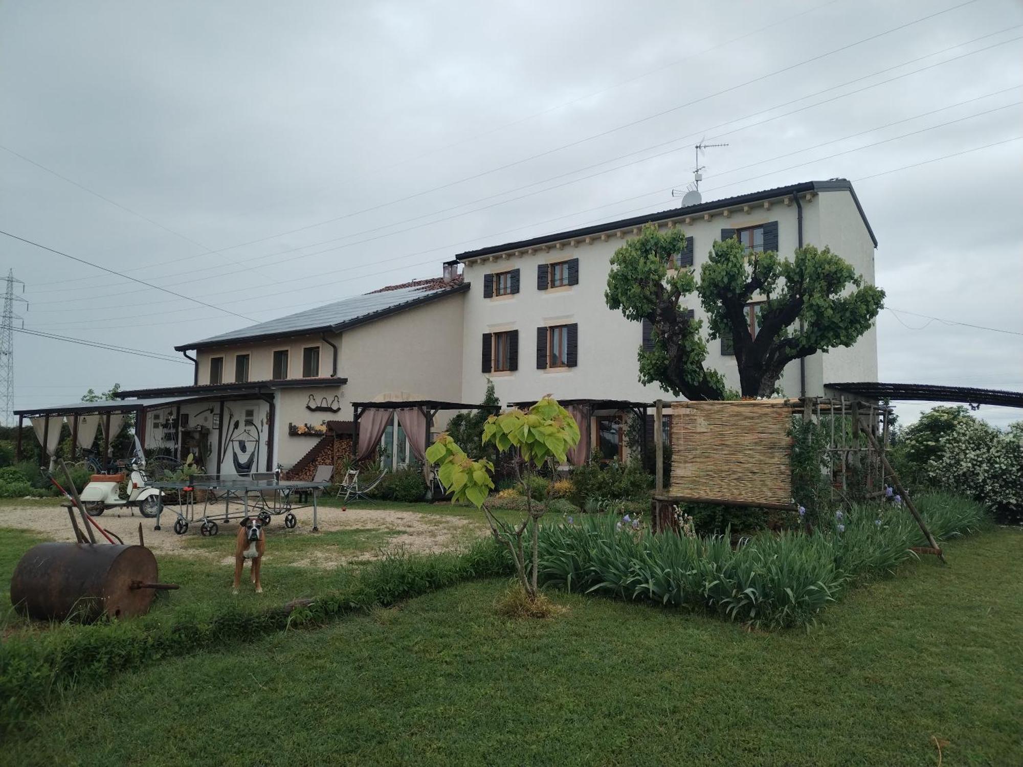 Ca' Blanca Bed and Breakfast Castelnuovo del Garda Eksteriør billede